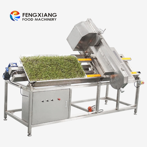 Machine de découpe automatique pour l'élimination des racines des germes de soja Fengxiang DY-I