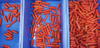 Ligne de traitement de tri de manioc de radis de carotte de Fengxiang