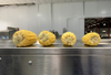 Machine de classement de tri d'oignon de pomme de terre de fruit de Fengxiang avec le convoyeur d'inspection