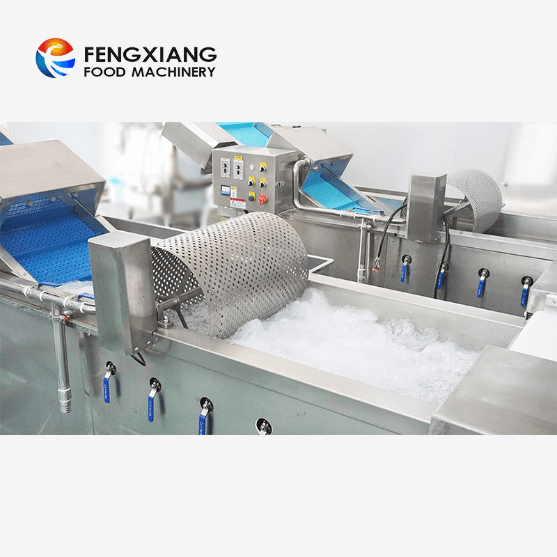 Machine de nettoyage de lavage par pulvérisation de bulles de fruits et légumes WA-1000 commerciale Fengxiang