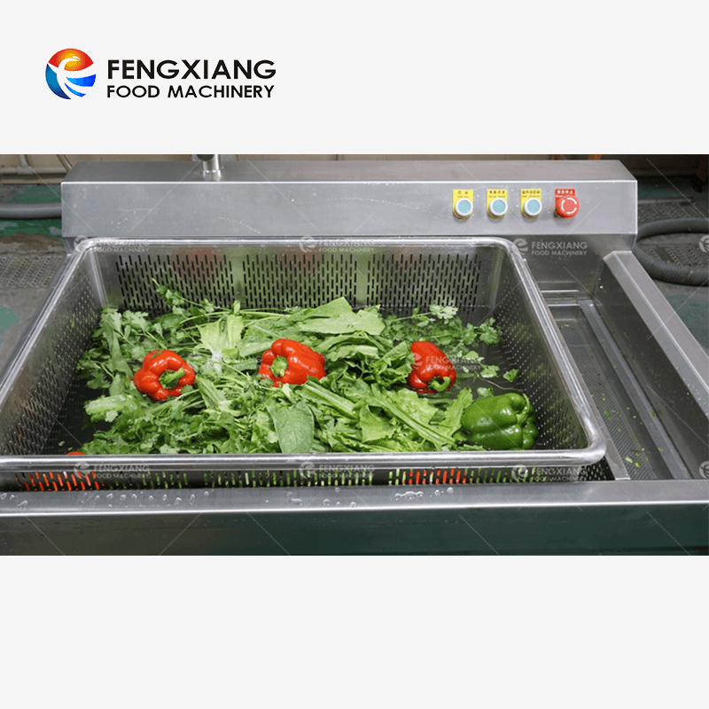 Fengxiang WASC-10 Machine de nettoyage de lavage de fruits et légumes à bulles de désinfection par ultrasons à l'ozone