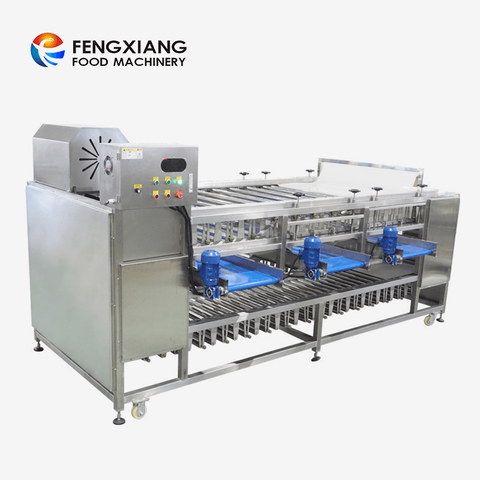 Machine de classement de tri d'oignon de pomme de terre de fruit de Fengxiang avec le convoyeur d'inspection