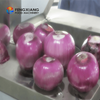 Fengxiang FX-128-3A Machine industrielle compétitive pour enlever la peau de l'oignon et de l'ail