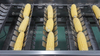 Machine de découpe de radis de maïs frais Fengxiang MC-365