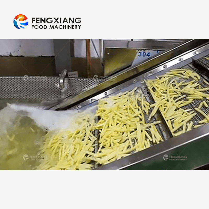 Équipement automatique d'ébullition de croustilles de chou de machine de blanchiment de fruits et légumes de Fengxiang