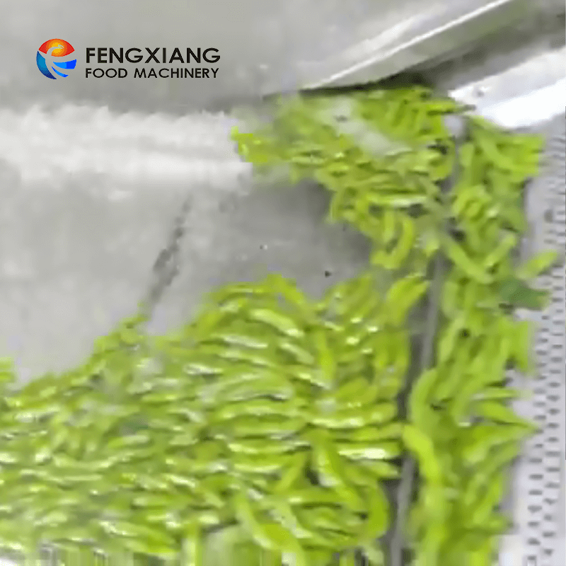 Équipement automatique d'ébullition de croustilles de chou de machine de blanchiment de fruits et légumes de Fengxiang